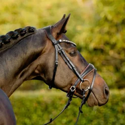 Lumiere Pippa Bridle