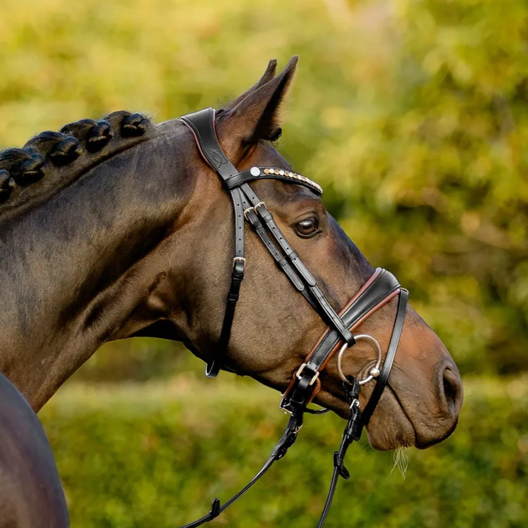 Lumiere Pippa Bridle