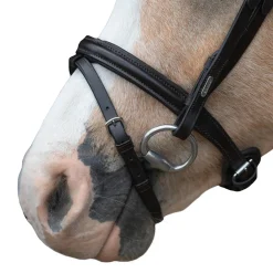 Lumi Pony Pera Bridle