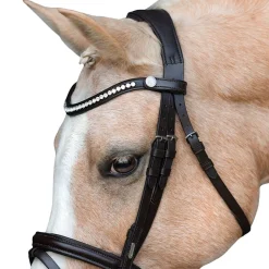 Lumi Pony Pera Bridle