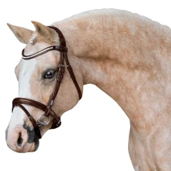 Lumi Pony Pera Bridle