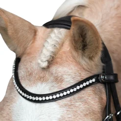 Lumi Pony Pera Bridle