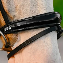 Lumi Pony Unicorn Bridle