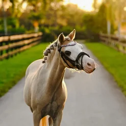 Lumi Pony Unicorn Bridle