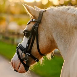 Lumi Pony Unicorn Bridle