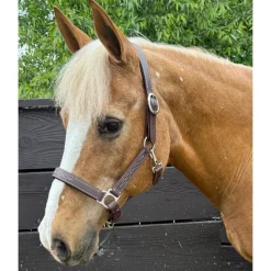 Mackey PVC Breakaway Halter