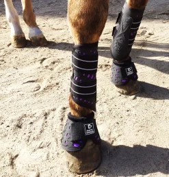 Majyk Equipe Sport/Dressage Boots