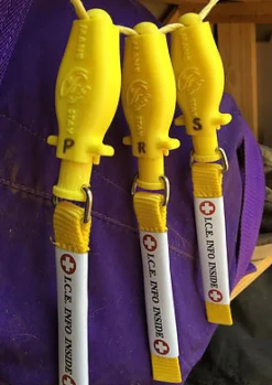 ManeStay Emergency ID Tag