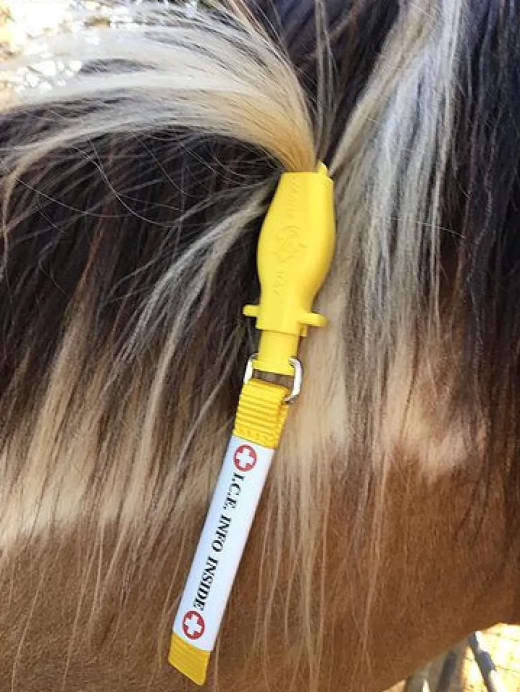 ManeStay Emergency ID Tag