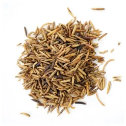 Manna Pro Bug Buffet