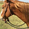 Martin Saddlery 1/2" Braided Reins + Slobber Straps