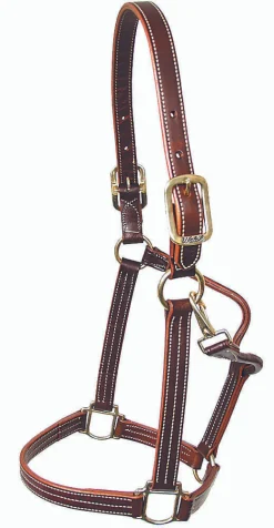 Mary's Walsh Leather British Halter
