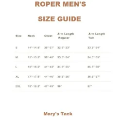 Men's Roper Blue Stripe SS Snap Shirt