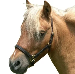 Mini Horse Leather Stable Halter