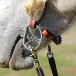Myler Curb Strap Hooks