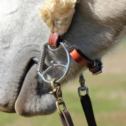 Myler Western Dee Low Port Comfort Snaffle with Hooks