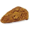 Natural Sponge - Small