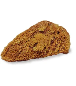 Natural Sponge - Small