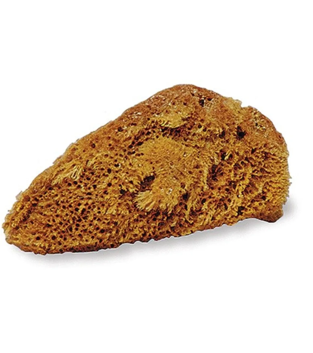 Natural Sponge - Small