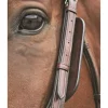 Nunn Finer Blinkers