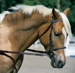 Nunn Finer Elastic Side Reins - Pony