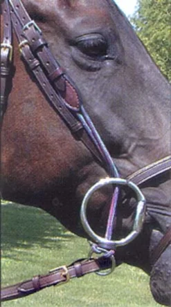 Nunn Finer Leather Gag Cheeks