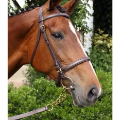Nunn Finer Newmarket Shank Lead