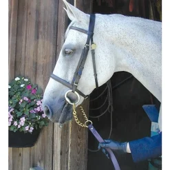 Nunn Finer Newmarket Shank Lead