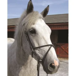 Nunn Finer Rubber Figure 8 Cavesson Noseband
