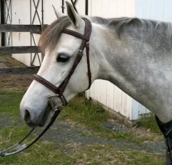 Nunn Finer Venice Fancy Stitch Pony Bridle