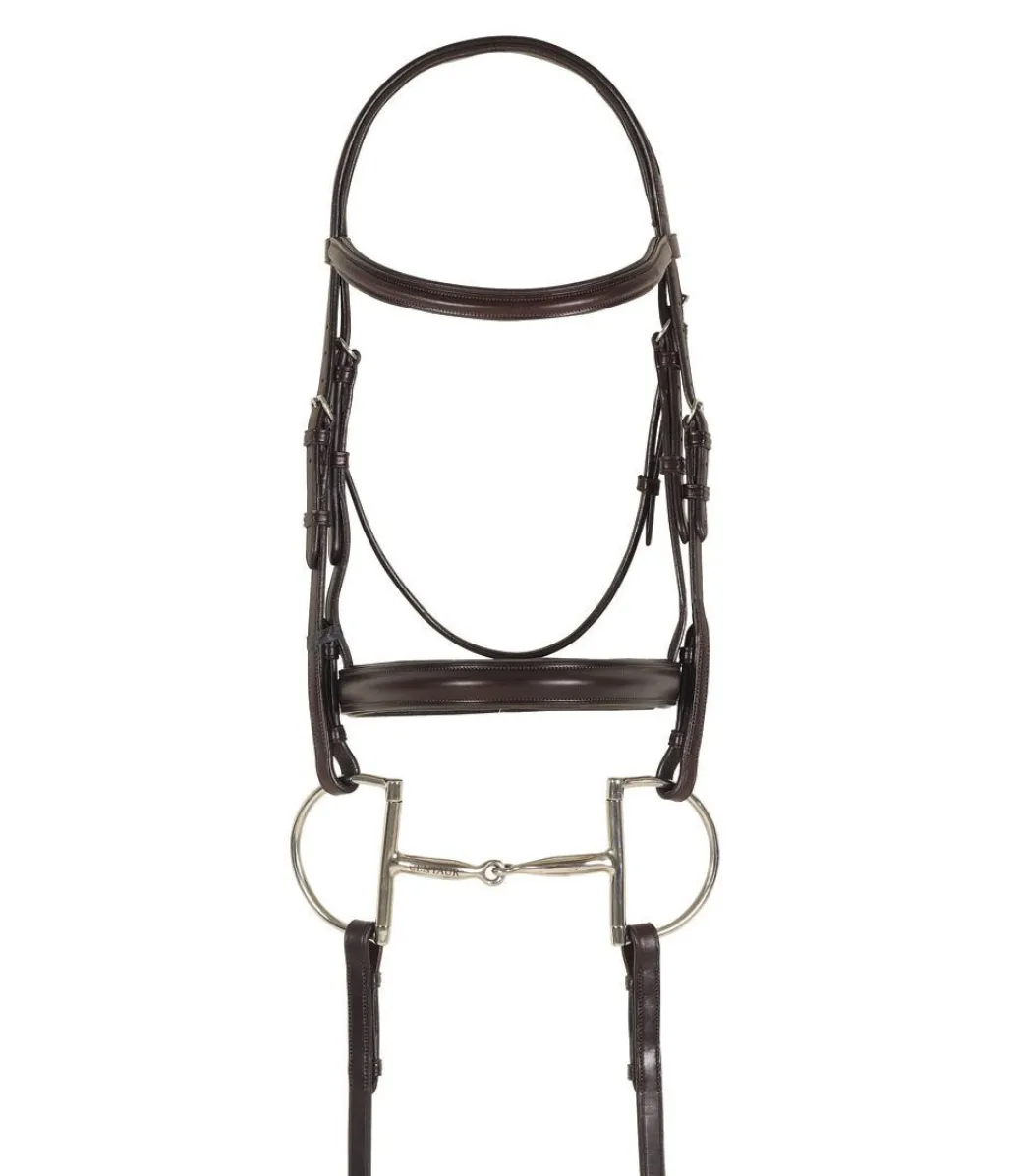 Ovation Draft Cross Plain Raised Padded Bridle