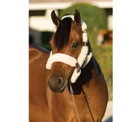 Ovation Pony Sheepskin Shipping Halter