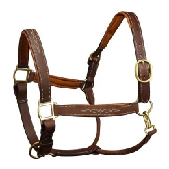 Ovation Richtan Luxury Padded Halter