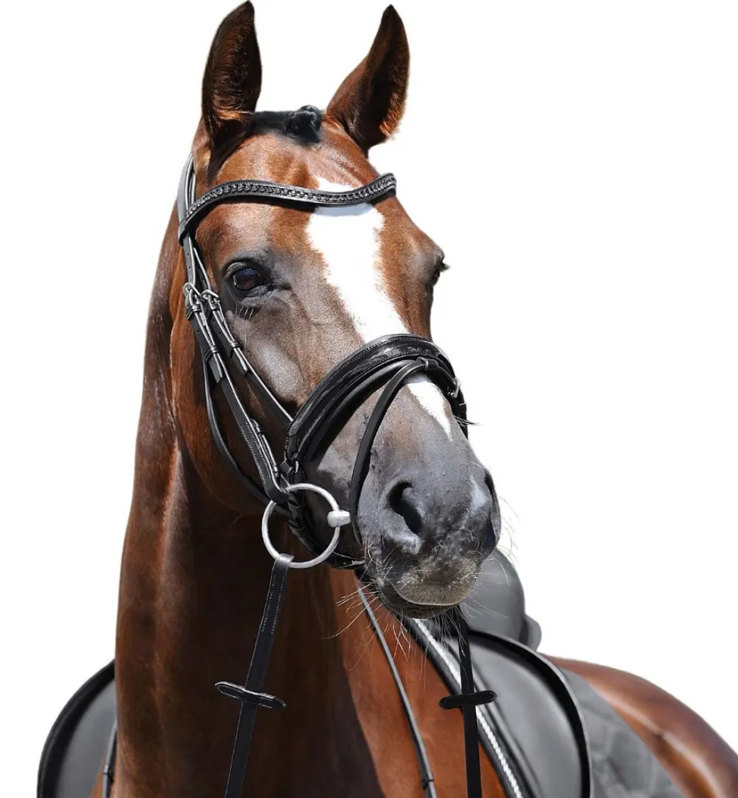 Passier Apollo Patent Leather Snaffle Bridle