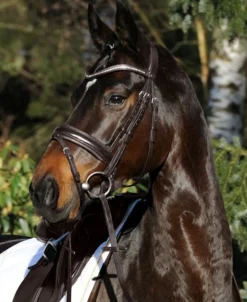 Passier Apollo Patent Leather Snaffle Bridle