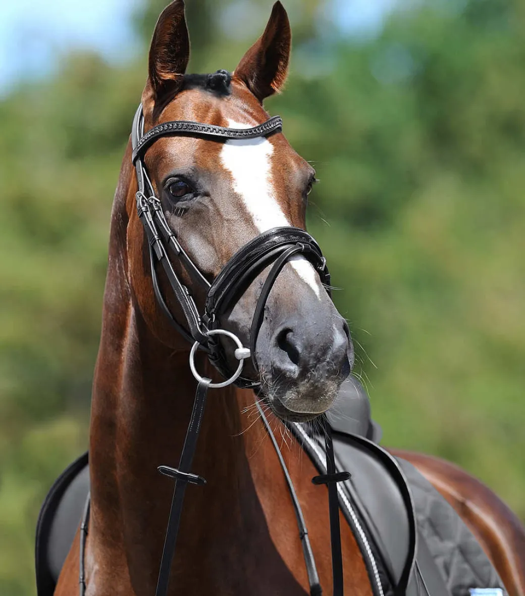 Passier Apollo Patent Leather Snaffle Bridle