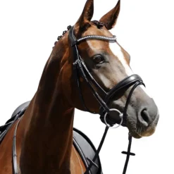Passier Atlas Snaffle Bridle