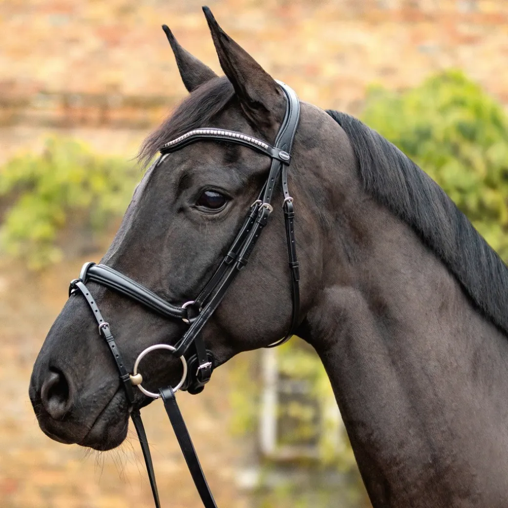 Passier Balance Snaffle Bridle