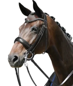 PASSIERBLU Dream Double Bridle