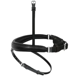 Passier Exchangeable Cavesson Special + Flash