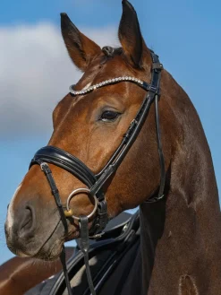 Passier Harmony Snaffle Bridle