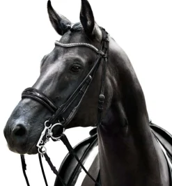 Passier Icarus Rolled Double Bridle
