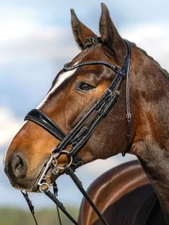 Passier Moonlight Double Bridle