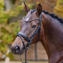 Passier Shadow Snaffle Bridle