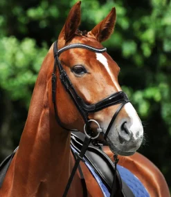 Passier Starlight Snaffle Bridle