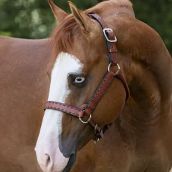 Perri's Buckstitch Halter