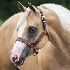Perri's Buckstitch Halter