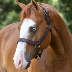 Perri's Buckstitch Halter