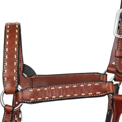 Perri's Buckstitch Halter