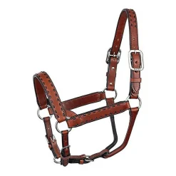Perri's Buckstitch Halter